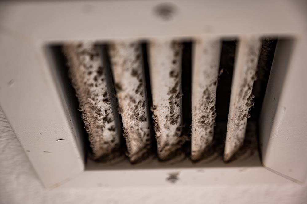 Mold Risk in High-Performance Homes: Why Moisture Management Matters